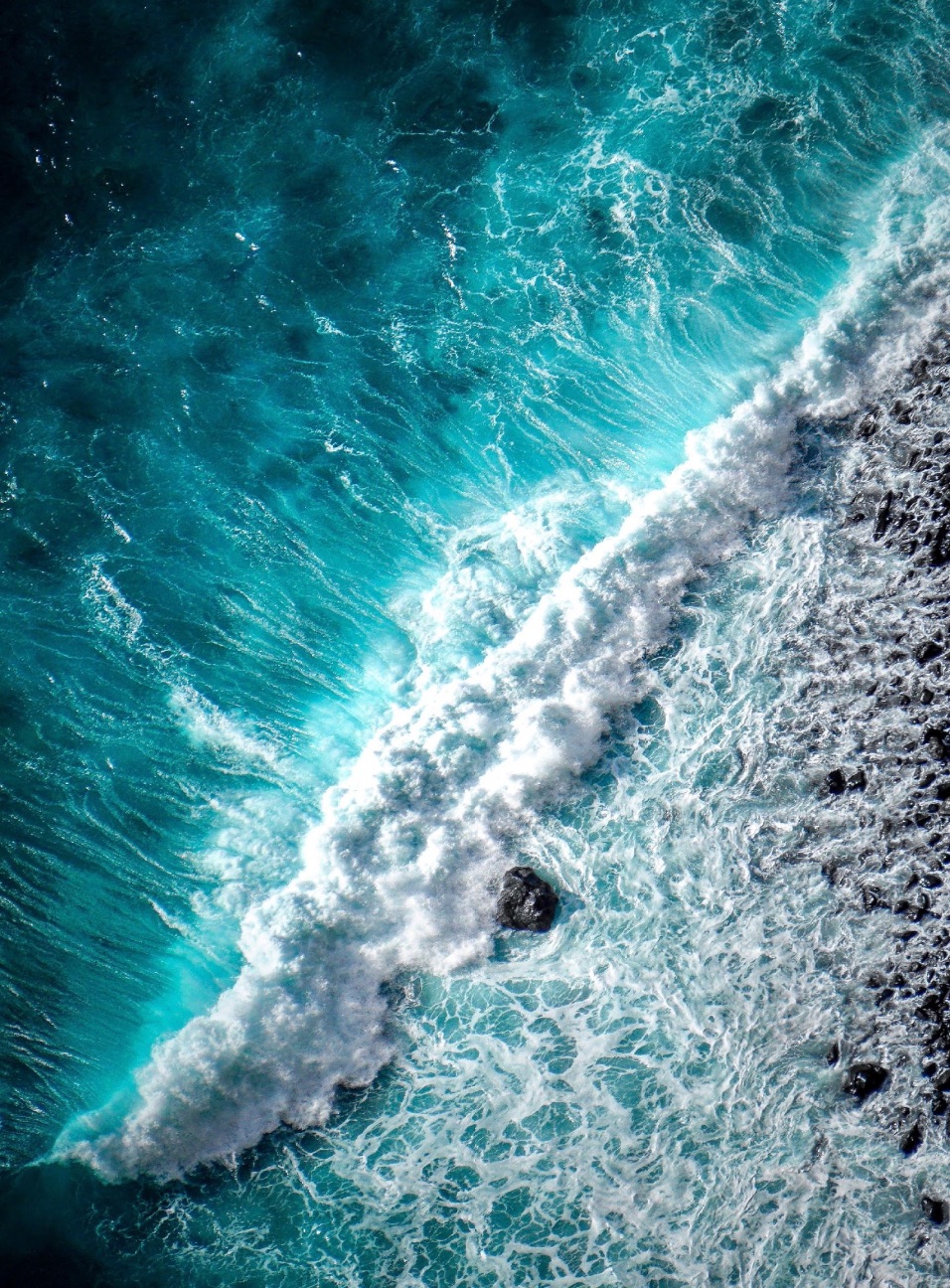 Sea Change 2021
